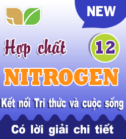 Hơp chất Nitrogen (KNTT_B1)
